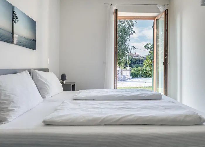 Tenuta Di Palu バルドリーノ