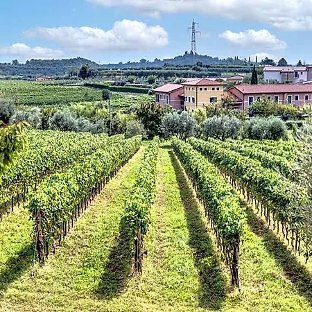 Tenuta Di Palu Apartmán *